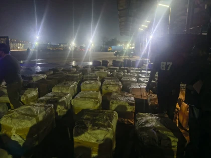 মিথ্যা ঘোষণার আড়ালে ইলিশ পাচার, বেনাপোলে সিন্ডিকেটের হদিশ